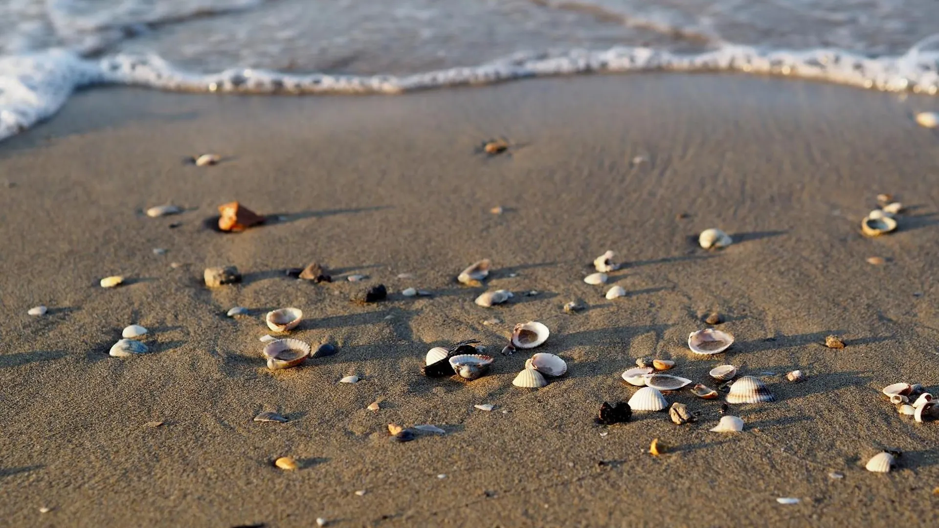 Cozy Charm Near The Beach - Beahost Bibione